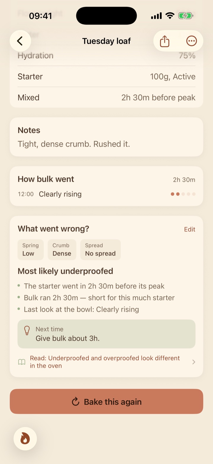 A loaf's page: what went wrong, the likely cause, and what to change next time.