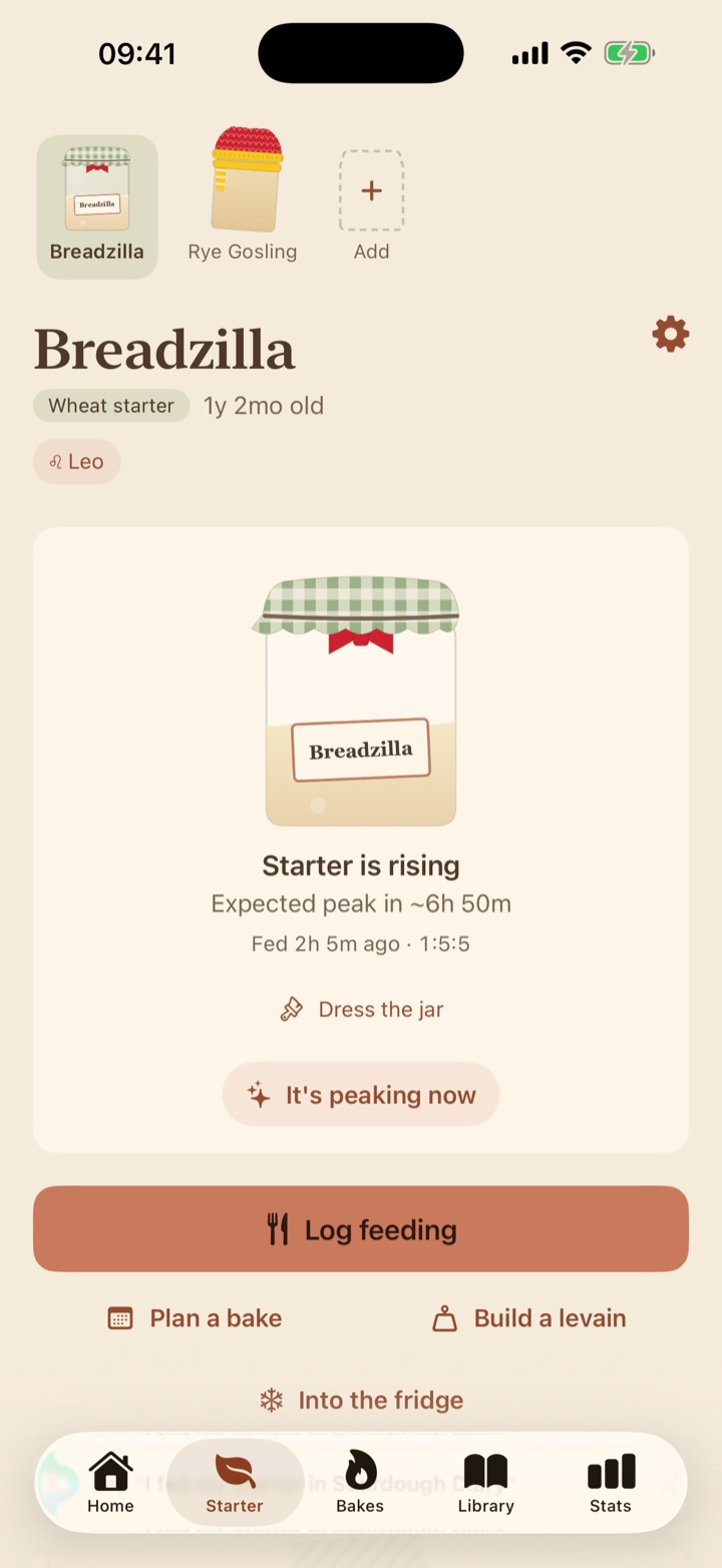 The Starter tab: a named jar, rising, with its expected peak.